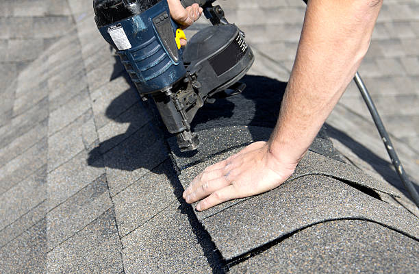 Best Roof Maintenance and Cleaning  in Laporte, CO