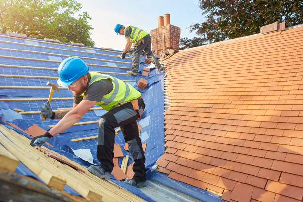 Best Roof Insulation Installation  in Laporte, CO